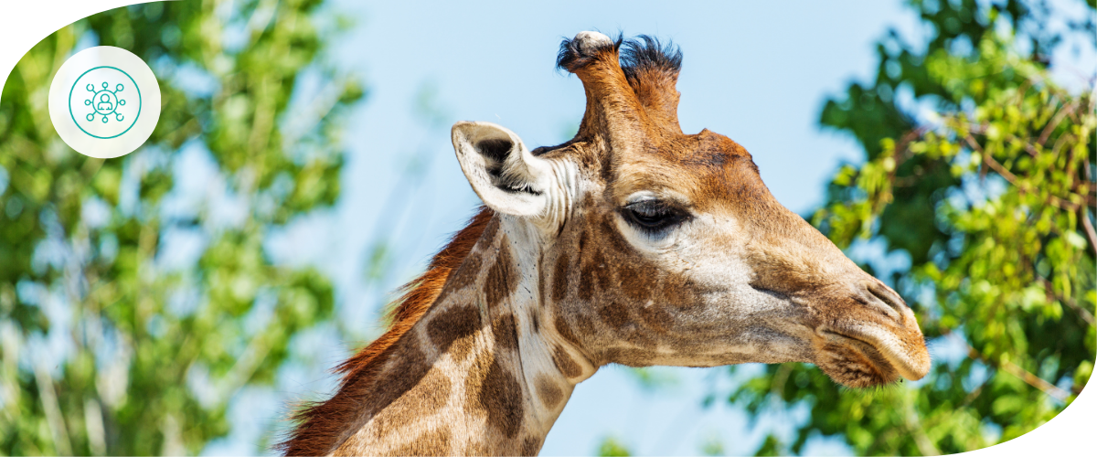 Wêrelddag vir Wildlewe